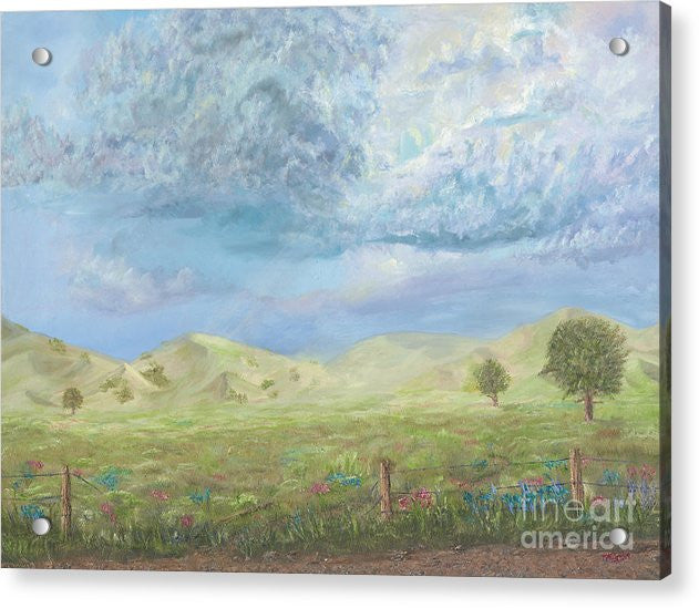 A Glimpse - Acrylic Print