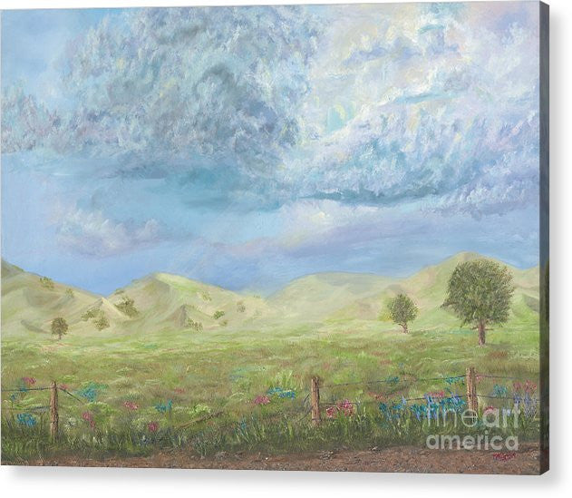 A Glimpse - Acrylic Print