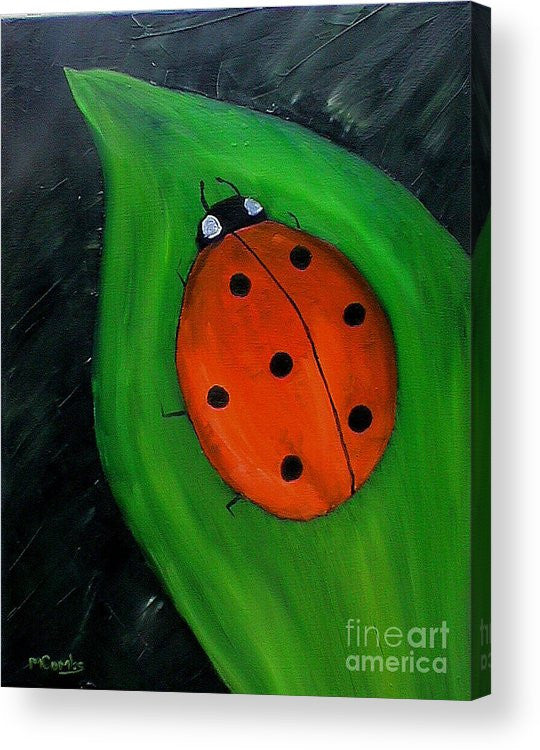 Hey Lady - Acrylic Print