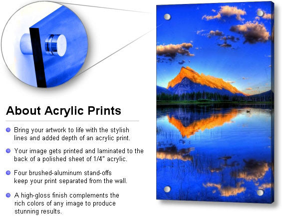 Radiate - Acrylic Print